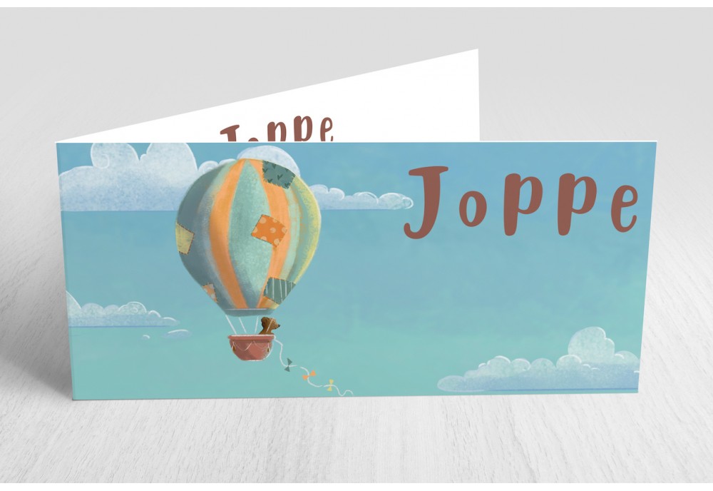 Luchtballon met beer